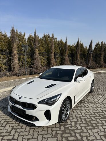 stinger kia: Kia : 2018 г., 2.2 л, Автомат, Дизель, Хэтчбэк