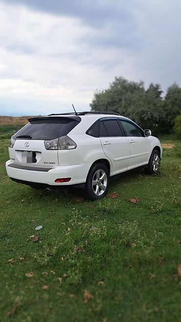 devo matiz: Lexus RX: 2004 г., Автомат, Бензин, Кроссовер — 5