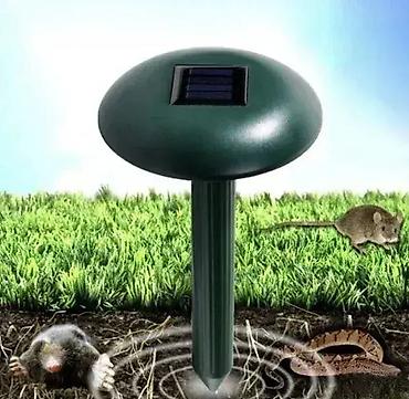 lampe rustikal: Solarni rasterivač za glodare i životinje efikasna zaštita. solarni — 1