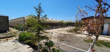 Bağ evlərinin satışı: Bakı, Türkan qəs., 1500 kv. m, 7 otaqlı, Hovuzlu, Qaz, İşıq, Su — 15