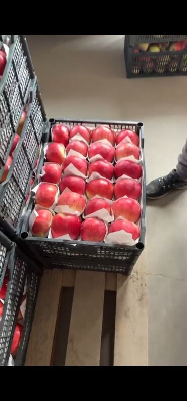 Ящики: Ящик, Новый — 9