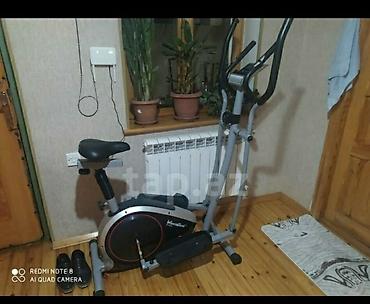 Спорт и отдых: Veloxizek — 1