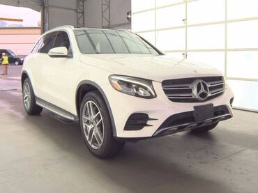 Mercedes-Benz: Mercedes-Benz 300: 2 l. | 2019 έ. SUV/4x4 — 18
