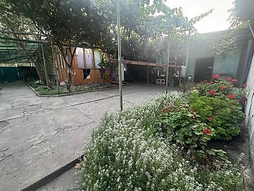 брони: Продаётся ПОЛДОМА НОВО-ПОКРОВКА участок 14 соток в с. Ново- Покровка — 3