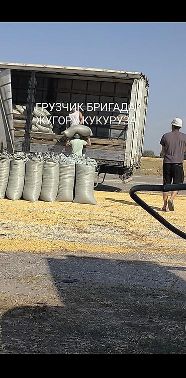 фикс токмок: Ассалому Алейкум ЖУГОРУ МУШОКТОП ЖУКТОЙБУЗ 30тоннадан Жогору Бишкек — 1