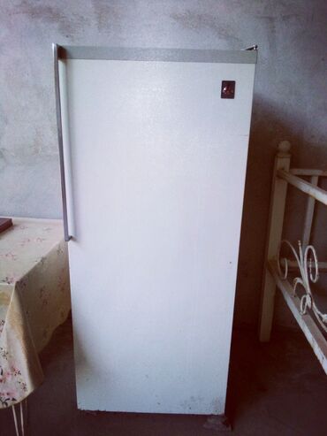 Холодильники: Холодильник AEG, Б/у, Однокамерный, De frost (капельный), 2 * 1