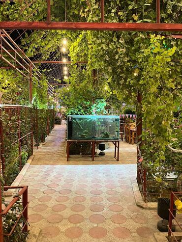 Digər kommersiya daşınmaz əmlakı: Xətai r, 1500 kv, 3 mərtəbəli restoran icarəyə verilir. İçki verilmir — 25