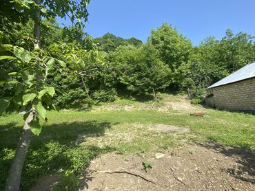 квартира в рассрочку на 10 лет: 10 sot, Tikinti, Mülkiyyətçi, Kupça (Çıxarış)