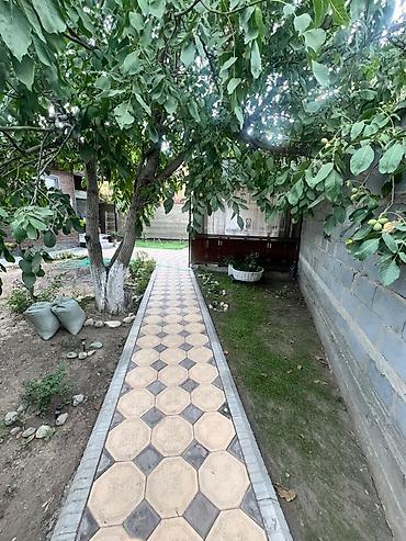 чай хана: Продам дачу в Беш Кунгей с новым домом 36кв.м. В доме есть всё — 6
