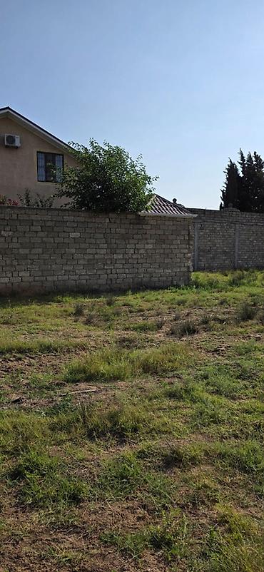 bine atciliqda torpaq: 50 sot, Tikinti, Mülkiyyətçi, Kupça (Çıxarış) — 7