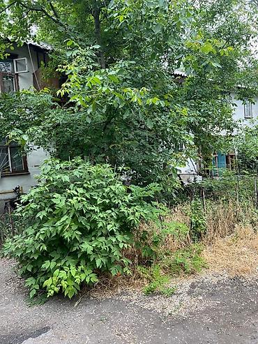 сму: Сдаю 1 ком. квартиру Адрес: район рынка Кудайберген, улица Патриса — 10