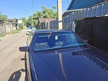 баги: Mercedes-Benz S-Class: 1995 г., 5 л, Автомат, Бензин, Седан — 5