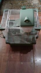 Qəfəslər: Xamyak ucun Qefes satilir qiyməti 25 azn bashqa qefeslerde var -da lalafo.az — 30 Qəfəslər: Xamyak ucun Qefes satilir qiyməti 25 azn bashqa qefeslerde var — 30