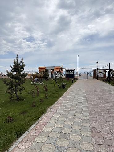 Посуточная аренда домов: “ASIA PALASE” КОТТЕДЖ, ВИП ГОРОДОК 📍САРЫ-ОЙ БАЛДАР АЯНТЧАСЫУНАА — 47