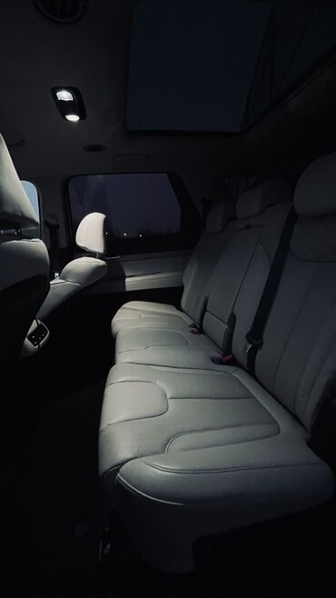 Hyundai: Hyundai Palisade: 2019 г., 2.2 л, Автомат, Дизель, Кроссовер — 10