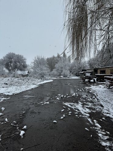 Продажа участков: 127 соток, Для строительства, Красная книга, Тех паспорт, Договор купли-продажи — 5
