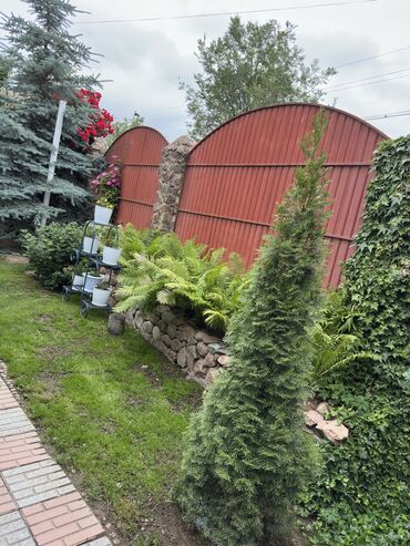 Продажа домов: Дом, 248 м², 15 комнат, Собственник — 22