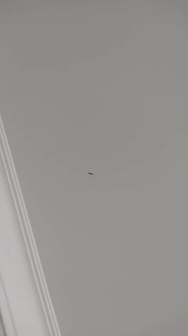 Натяжной потолок: Натяжной потолок Глянцевое, Матовое, 3D потолки Гарантия, Бесплатная консультация, Бесплатный замер — 3