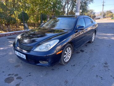 тайота опа каракол: Toyota Windom: 2003 г., 3 л, Автомат, Газ, Седан