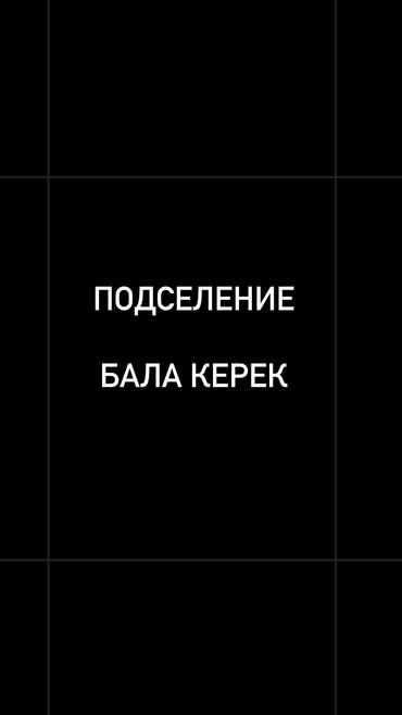 аренда квартир на долгий срок мкр тунгуч: 2 бөлмө, Менчик ээси, Чогуу жашоо менен, Жарым -жартылай эмереги бар