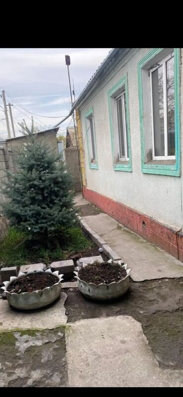 аренда дом без хозяина: 65 м², 3 комнаты, Парковка, Забор, огорожен