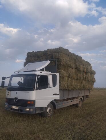 двигатель мерседес 2.2 дизель купить: Мерседес Бенс Атего 2001 жылы борттун узуну 6.турасы 2.55 17.5