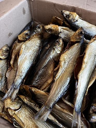 кыргыз сиги: 🐟 Приглашаем магазины и торговые точки к сотрудничеству! Предлагаем — 2