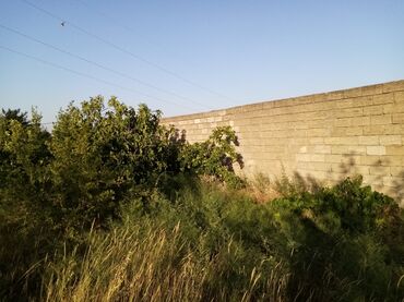 Uzunmüddətli kirayə evlər: 21 kv. m, 2 otaqlı, İnternet, Qaz, İşıq — 13