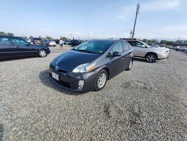 тайота продо: Toyota Prius: 2011 г., 1.8 л, Автомат, Гибрид, Хэтчбэк