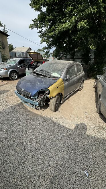 таюта ист: Скупка битые авто любой марки автомобиля лексус тайота Хонда ист фит