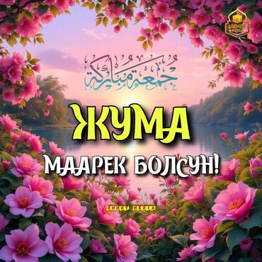 порода бишон фризе цена: Ит бекер берилет: Йоркшир терьер, 5 жаш, Ургаачы, Эмделген