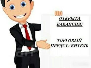 склад работа: Требуется Торговый агент, График: Шестидневка, 3-5 лет опыта, % от продаж, Полный рабочий день