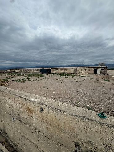 Продажа сельхоз предприятий: Продаю действующий бизнес птицефабрику вместе с курами, полностью — 4