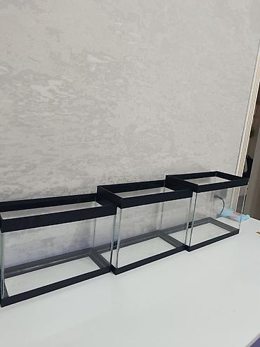afcarka qara: Akvaryum şüşə akvariumlar – 3 fərqli ölçüdə - 44×18×29 sm – 22,5 litr — 9