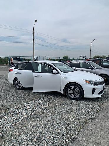 Kia: Kia Optima: 2017 г., Гибрид, Седан — 4