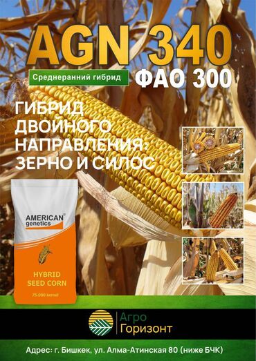 Зерновые культуры: Семена и саженцы Кукурузы