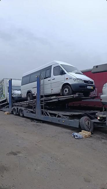 Mercedes-Benz Спринтер: 2010 г.