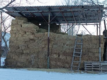 Товары и оборудование для с/х животных: 1чи чабык чоп сатылат чон пресстелген 120сомдон 300тюк бар.Кара балта