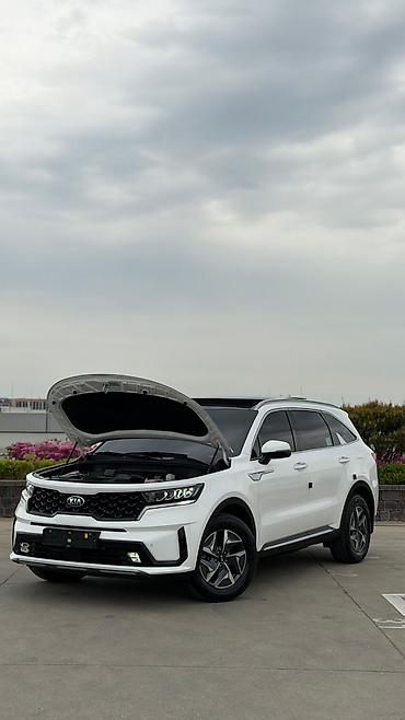 Kia: Kia Sorento: 2020 г., 1.6 л, Автомат, Гибрид — 22
