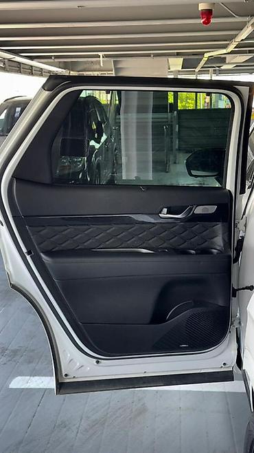 Hyundai: Hyundai Palisade: 2020 г., Кроссовер — 21