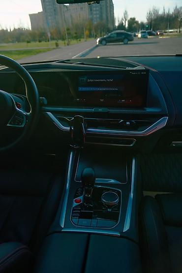 BMW: BMW : 2023 г., 4.4 л, Автомат, Бензин, Кроссовер — 22