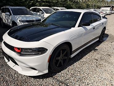 додж челленджер: Dodge Зарядник: 2019 г., 3.6 л, Седан — 3