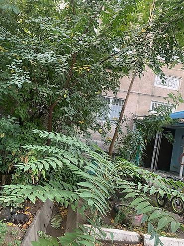 104: 2 комнаты, 48 м², 104 серия, 5 этаж, Старый ремонт — 3