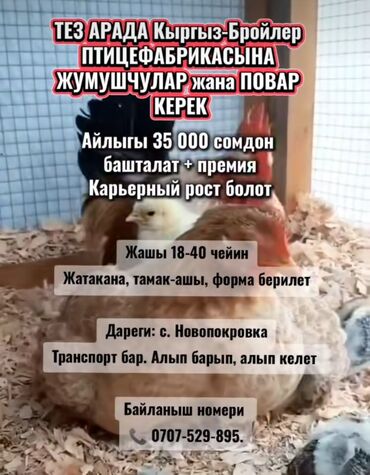 малчы бишкек: Талап кылынат Канаттуу куш багуучу, Төлөм Келишим түрдө, Окутуу