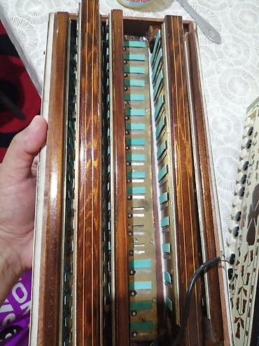 Digər: Təmiz vyatka.islək instrumentdir.70 ilin qarmonudur — 3