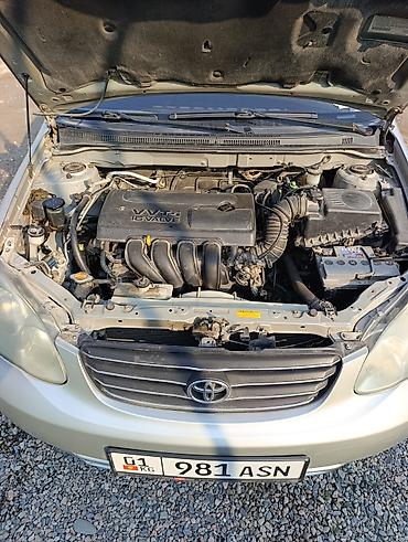 levin corolla: Toyota Corolla: 2003 г., 1.8 л, Автомат, Бензин, Седан — 9