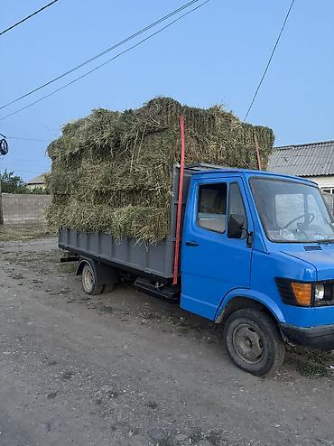 салон гелик: Mercedes-Benz T1: 1987 г., 2.9 л — 1