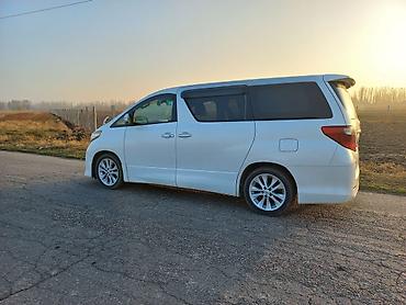 rota grid: Toyota Alphard: 2008 г., 3.5 л, Автомат, Бензин, Минивэн — 6