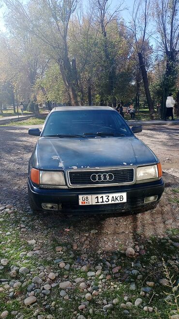 газ на acura: Audi 100: 1992 г., 2 л, Механика, Газ, Седан