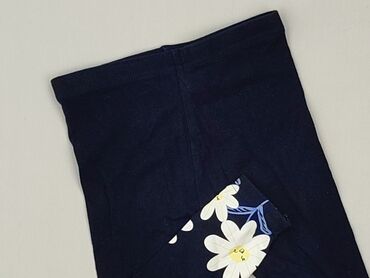 rajstopy we wzory: Legginsy, So cute, 9-12 miesięcy, stan - Idealny